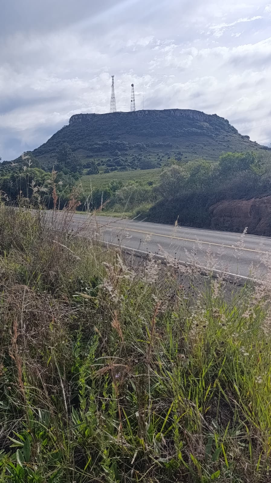 Vista al Cerro Palomas
